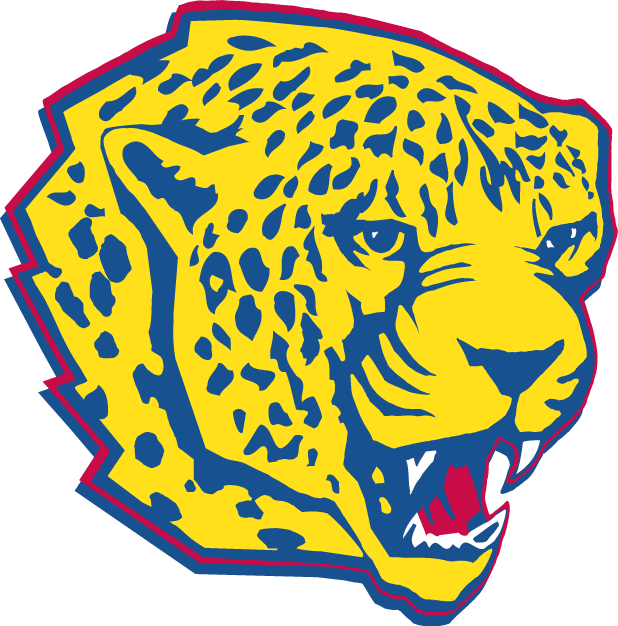 South Alabama Jaguars 1997-2007 Partial Logo diy iron on heat transfer